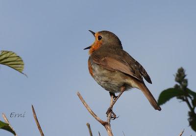 SEGUNDA VISITA SACRE EN LAREDO (06/06/2022)