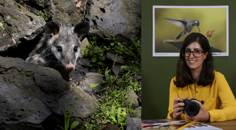 LA FOTÓGRAFA MEXICANA QUE REGISTRÓ MÁS DE 200 ESPECIES DE FAUNA QUE HABITAN EN CDMX
