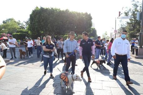 Arranca ayuntamiento jornadas de esterilización canina