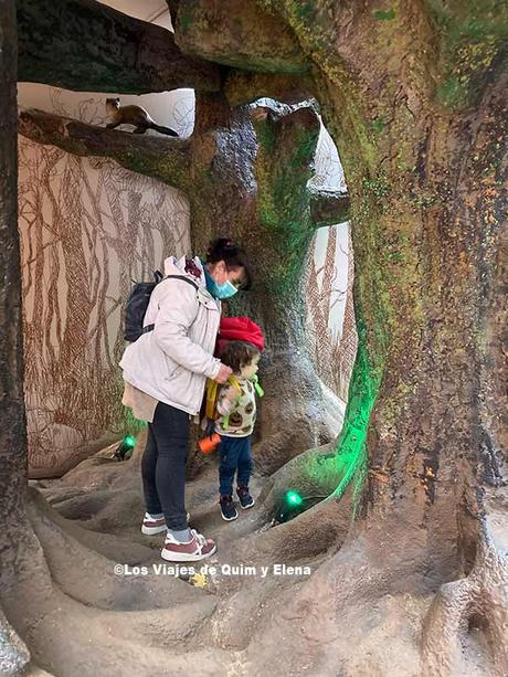 Exposición permanente del Museo de Ciencias de Granollers, museos cerca de Barcelona