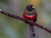 años conciencia ecológica Mundial Medio Ambiente