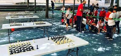 PERFIL PROFESIONAL ANDRÉS LLANAS DEL HOYO