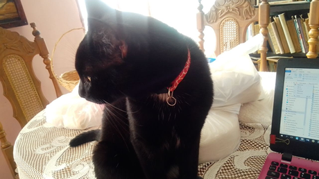 Adiós a “La choza de Crixus”