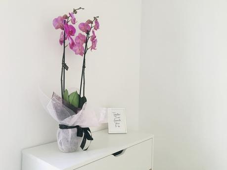 Flores para sorprender en el Día de la Madre maceta con planta de orquídea