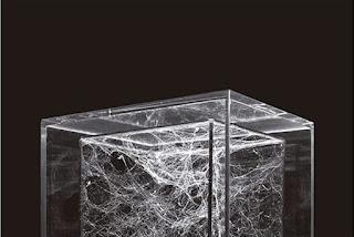 Membrana, de Jorge Carrión