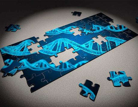 El código del genoma humano completo El código del genoma humano completo