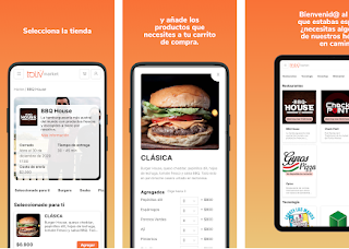 Toliv Market - El primer Instant Delivery Colaborativo Chileno