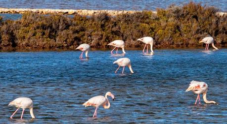 Que ver en Ibiza y Formentera – Viaje por las islas Baleares