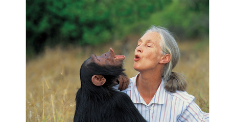 Dos personalidades diferentes comprometidas con el medio ambiente 🐵👣