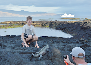Papá, ¿Cuántos años viven las tortugas?