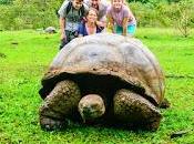 Papá, ¿Cuántos años viven tortugas?