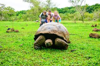 Papá, ¿Cuántos años viven las tortugas?
