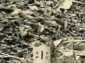 Límites Quinta Frontera