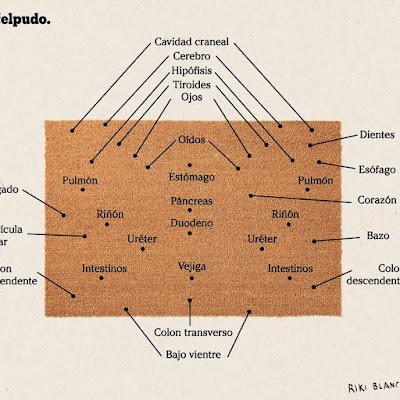 Lleno en El Rocío… Y la falta de explicaciones del Emérito.