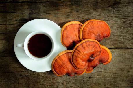 La Tienda De Cristóbal sobre la combinación de café con ganoderma La Tienda De Cristóbal sobre la combinación de café con ganoderma