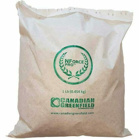 ⚡ 2022 ▷ Los 12 errores más comunes a la hora de hormigonar ▷ Repararencasa ⚡ 2022 ▷ Los 12 errores más comunes a la hora de hormigonar ▷ Repararencasa