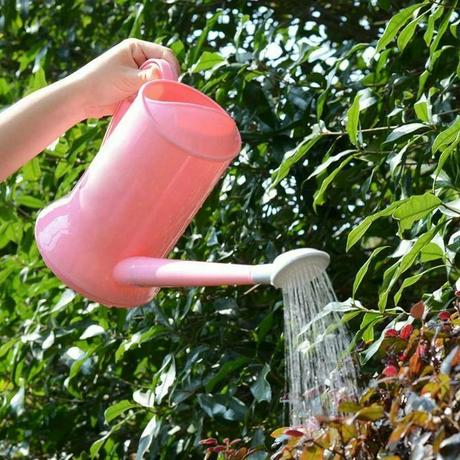 ⚡ 2022 ▷ Las 10 opciones de ducha mejor calificadas en Amazon ▷ Reparación del hogar ⚡ 2022 ▷ Las 10 opciones de ducha mejor calificadas en Amazon ▷ Reparación del hogar