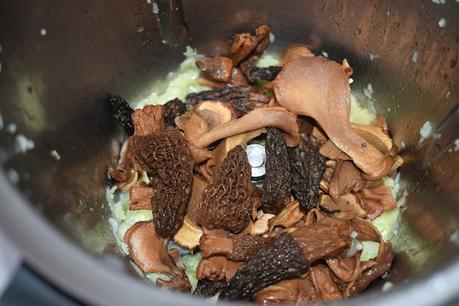 Risotto con colmenillas y boletus con teja de parmesano.