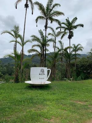 Viaje vía terrestre de Lima a Oxapampa. Perú Viaje vía terrestre de Lima a Oxapampa. Perú