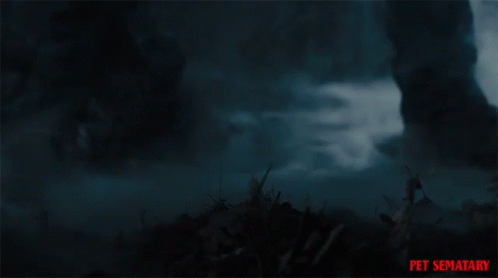 Reseña: No salgas de noche - Stacy Willingham