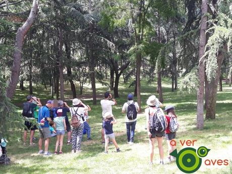 Doscientos parques con el Paseo de los Chopos. Y de propina un martinete