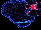 ¿Influye música cerebro?