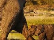 Cuento para hijos amigos: conquista relatividad