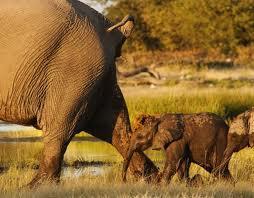Cuento para los hijos de mis amigos: La conquista de la relatividad