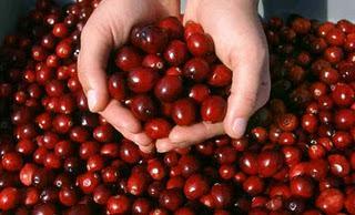 Jugo de Arándanos para Infecciones Urinarias Jugo de Arándanos para Infecciones Urinarias