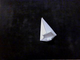 Tortuga Ninja Tortuga Ninja