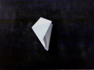 Tortuga Ninja Tortuga Ninja