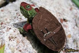 Tortuga Ninja Tortuga Ninja