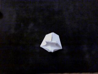 Tortuga Ninja Tortuga Ninja