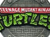 Tortuga Ninja