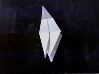 Tortuga Ninja Tortuga Ninja