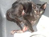 Ayudaaaaa...esto grave