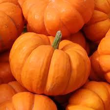 A la rica calabaza de otoño !!!!