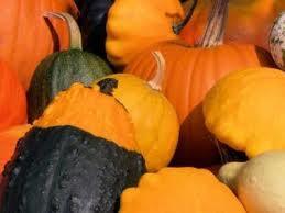 A la rica calabaza de otoño !!!!