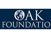 Beca para profesionales Derechos Humanos 2012