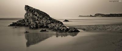 Fotografia de la semana