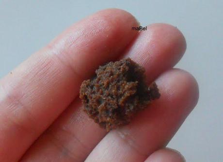 1º: La saga de los brownies : Brownie Masticable (chewy)