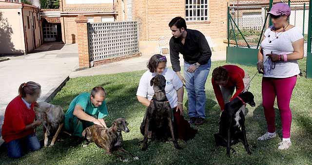 Julita (i), Jesús, Rocío, el terapeuta que guía la sesión, Salvador, con Maxio y Verónica, posan con los galgos que cuidan.| M. Brágimo