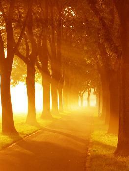 La poesía es más universal que el i-phone