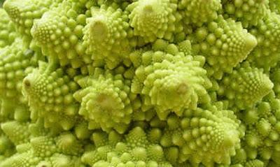 Fractales en la naturaleza