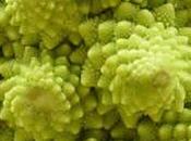 Fractales naturaleza