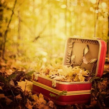 Investigaciones Nocturnas (8) Esther Sanz Investigaciones Nocturnas (8) Esther Sanz