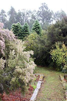 Visitando jardines: Jardín del Pazo de la Saleta