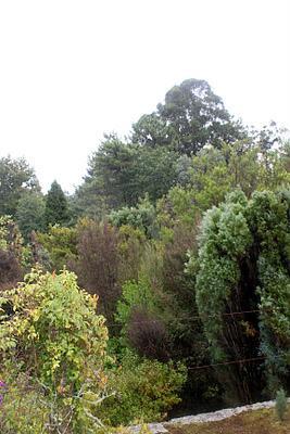 Visitando jardines: Jardín del Pazo de la Saleta