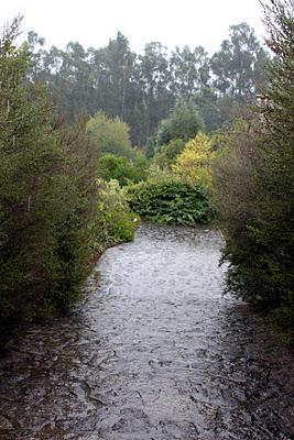 Visitando jardines: Jardín del Pazo de la Saleta