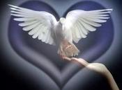 Curso integral REIKI,